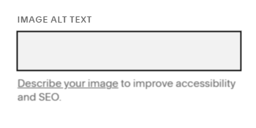 Accessing Squarespace image alt text settings